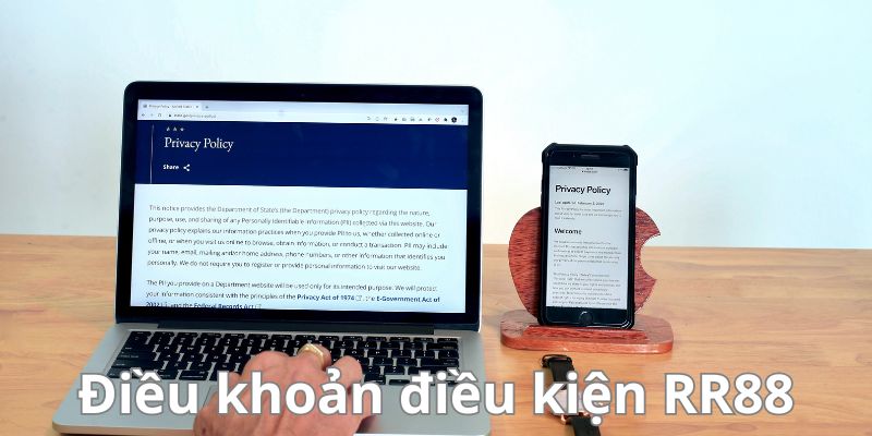 Giới thiệu sơ lược về điều khoản điều kiện RR88