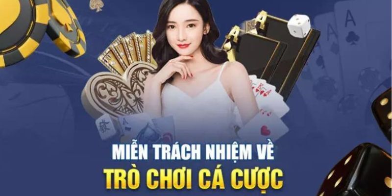 Chi tiết về trách nhiệm của RR88 và các hội viên